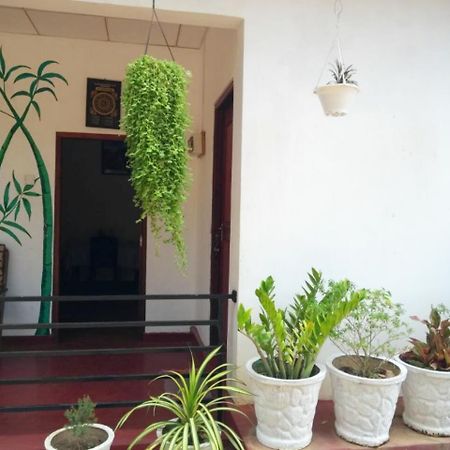 Pawansa Home Stay Habarana Exteriér fotografie