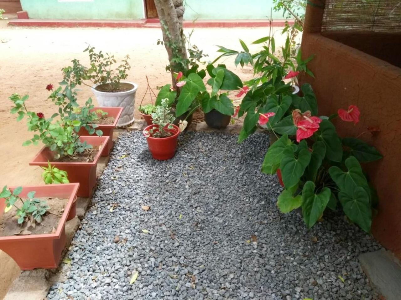 Pawansa Home Stay Habarana Exteriér fotografie